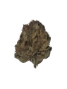 Forbidden Fruit 3.5G