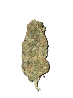 1 Ounce Gelato cannabis